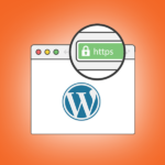 ssl per wordpress